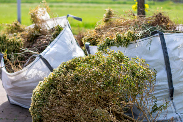 Professional Junk Removal Services in Cross Plains, TX